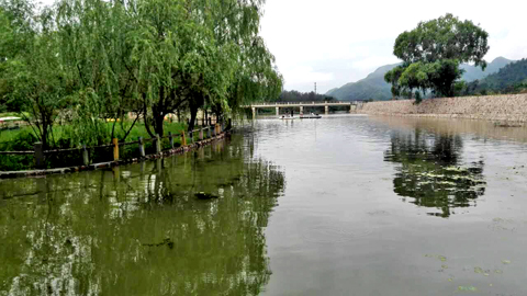 蓟县梨木台龙泉山庄13739836369