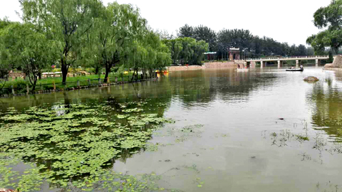 蓟县梨木台龙泉山庄13739836369